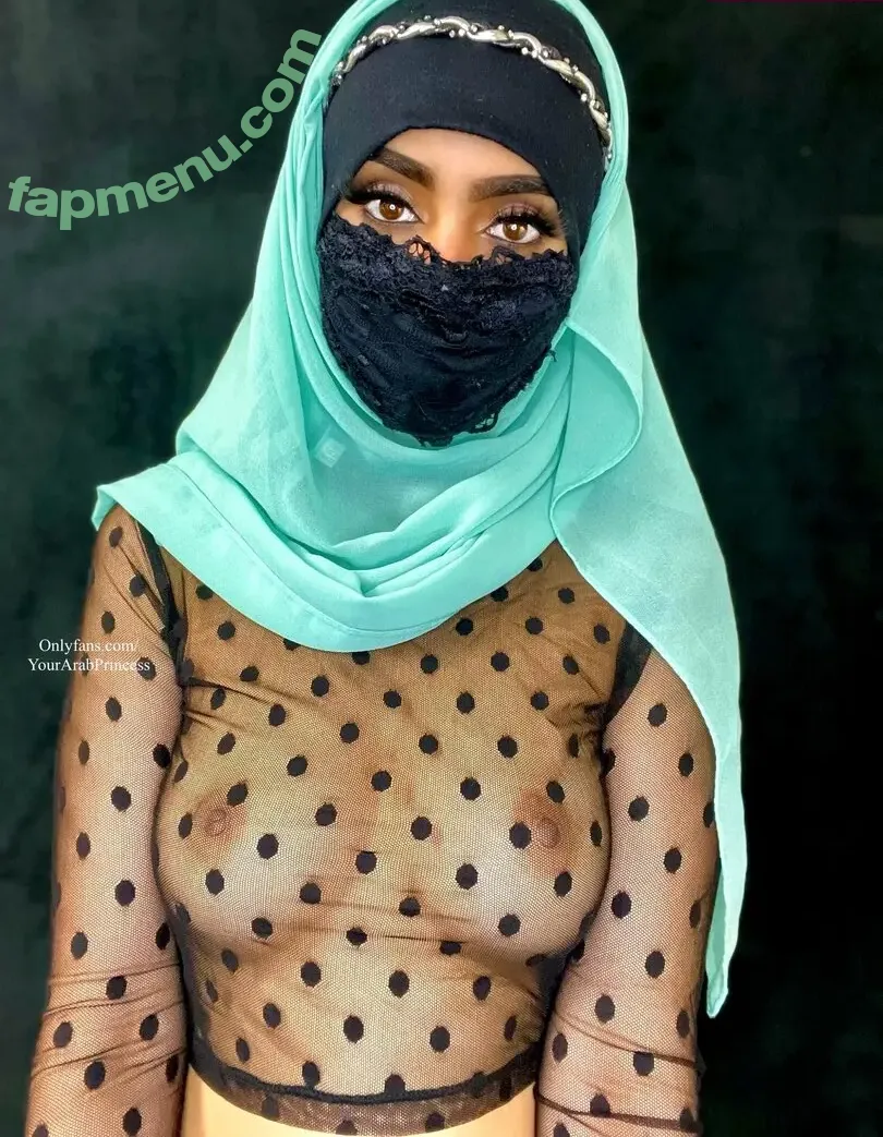 Aaliyah Aziz nude photo #0012 (Yourarabprincess / aaliyahaziz_2)