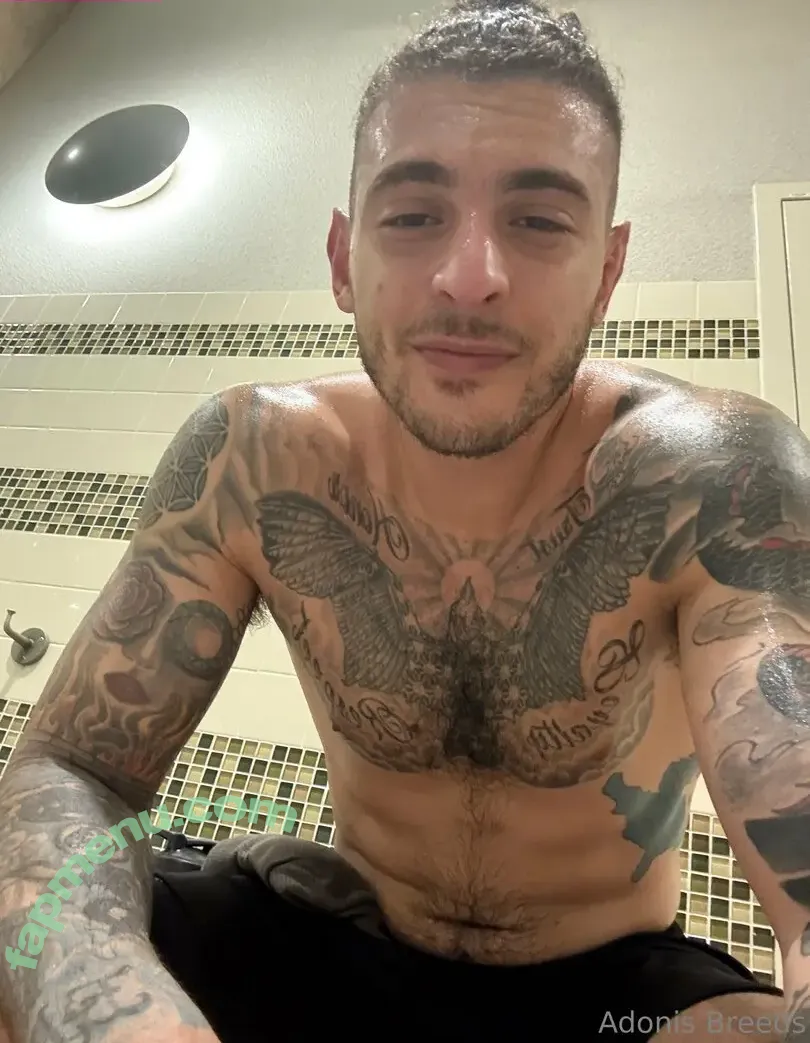 adonisbreeds nude photo #0006 (adonisbreeds)
