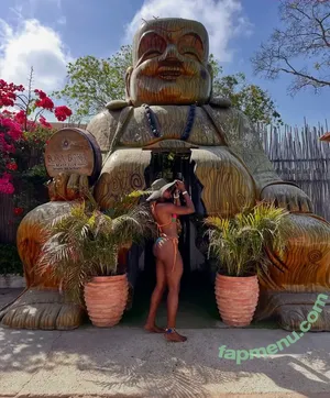 Afroglam1 / Karito / imcarolinev nude photo #0027
