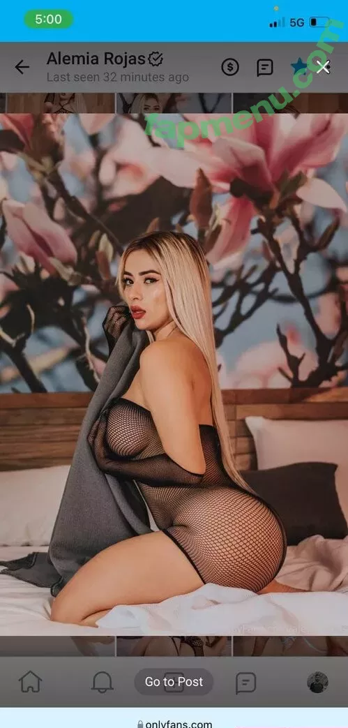 Alemia Rojas nude photo #0032 (alemia.solofans / alemiarojas)