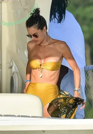Alessandra Ambrosio / aleambrosio / alelovesanja / alessandraambrosio nude photo #3479