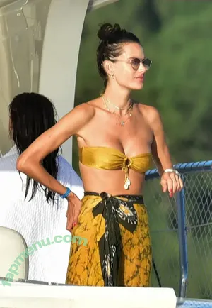 Alessandra Ambrosio / aleambrosio / alelovesanja / alessandraambrosio nude photo #3483