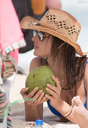 Alessandra Ambrosio / aleambrosio / alelovesanja / alessandraambrosio nude photo #3712
