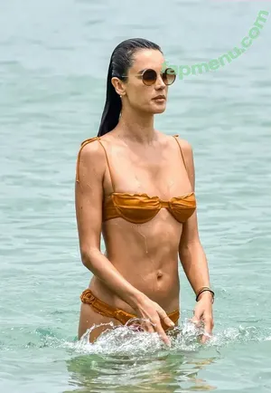 Alessandra Ambrosio / aleambrosio / alelovesanja / alessandraambrosio nude photo #3994