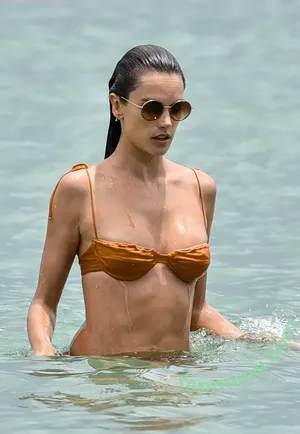Alessandra Ambrosio / aleambrosio / alelovesanja / alessandraambrosio nude photo #3995