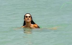 Alessandra Ambrosio / aleambrosio / alelovesanja / alessandraambrosio nude photo #4008