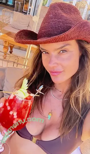 Alessandra Ambrosio / aleambrosio / alelovesanja / alessandraambrosio nude photo #4125
