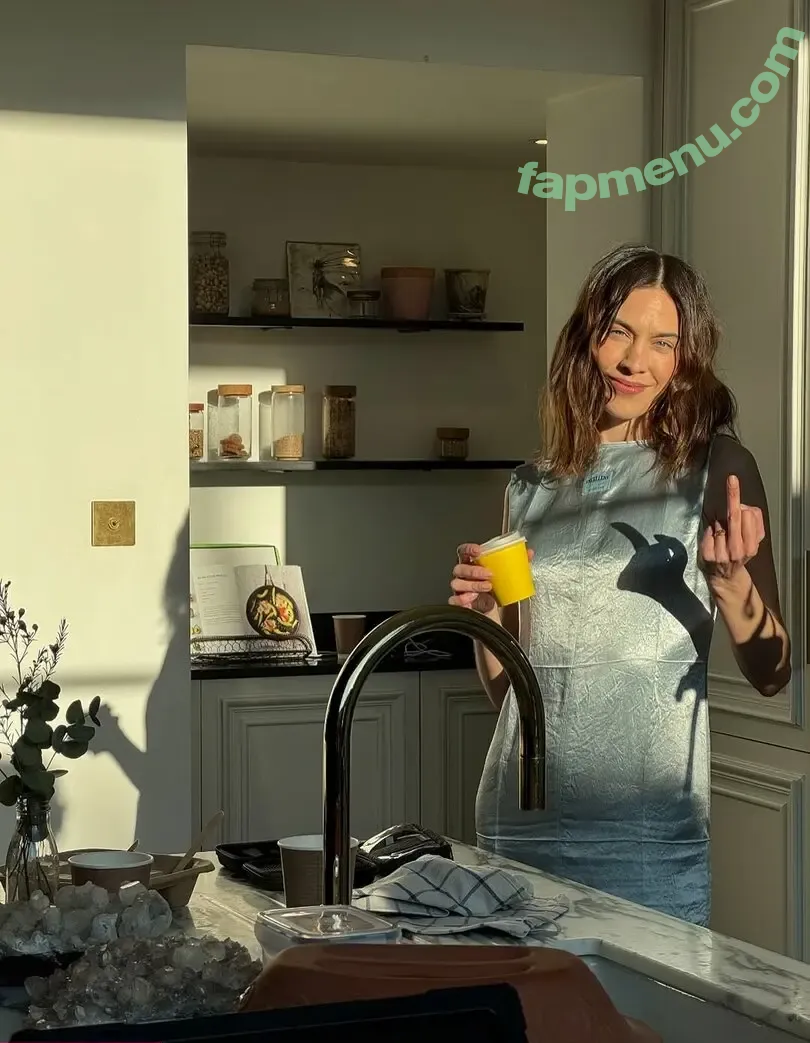 Alexa Chung nude photo #0060 (alexachung)