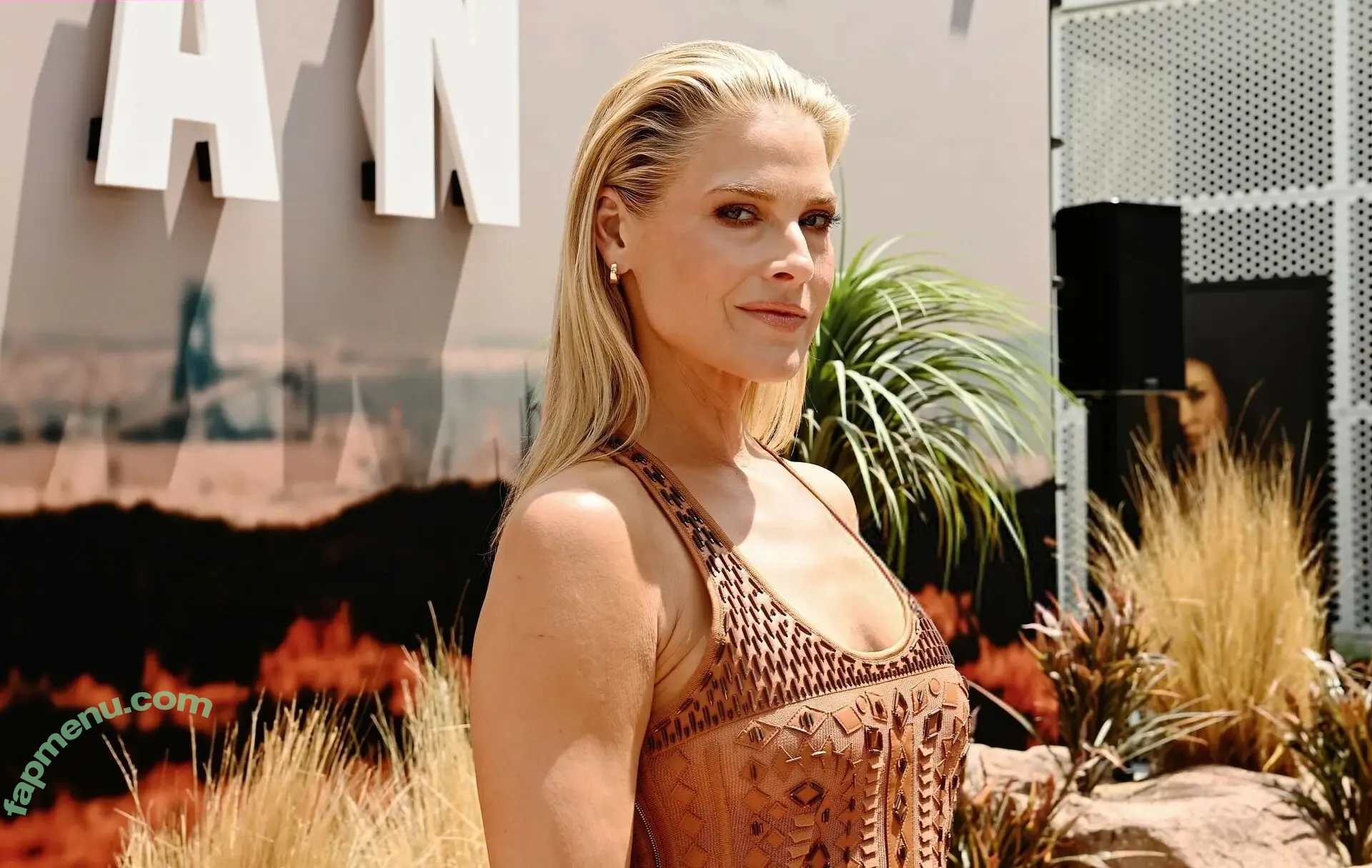 Ali Larter nude photo #0473 (alilarter)