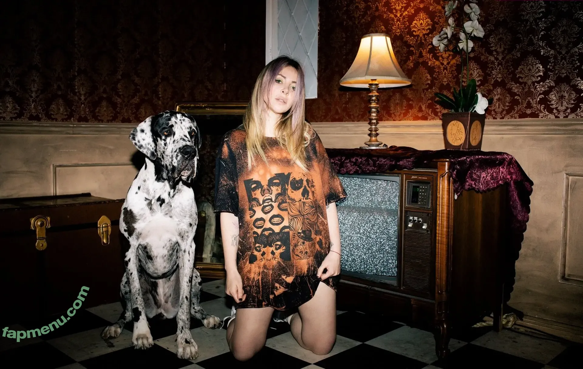 Alison Wonderland nude photo #0157 (alisonwonderland / allywonder)