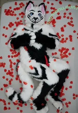 aliuros / ailurosvt nude photo #0007