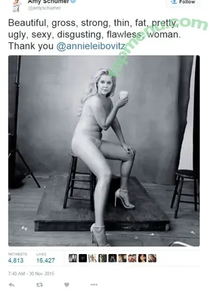 Amy Schumer / amyschumer nude photo #0085