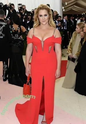 Amy Schumer / amyschumer nude photo #0105