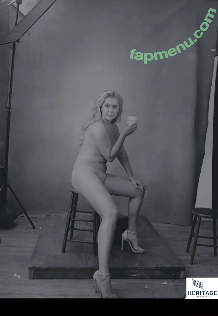 Amy Schumer nude photo #0080 (amyschumer)