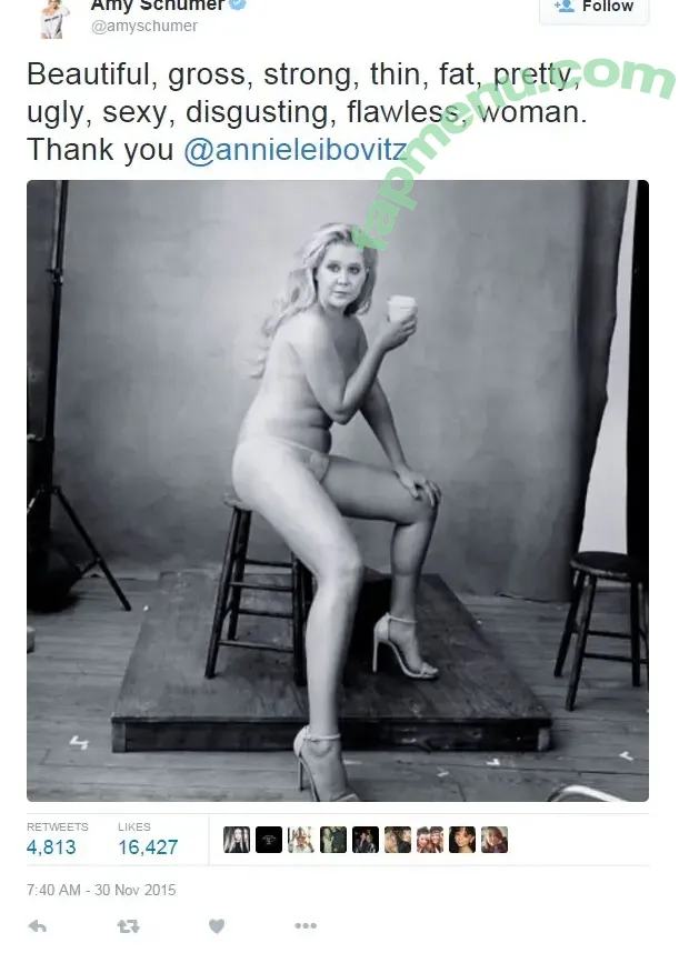 Amy Schumer nude photo #0085 (amyschumer)