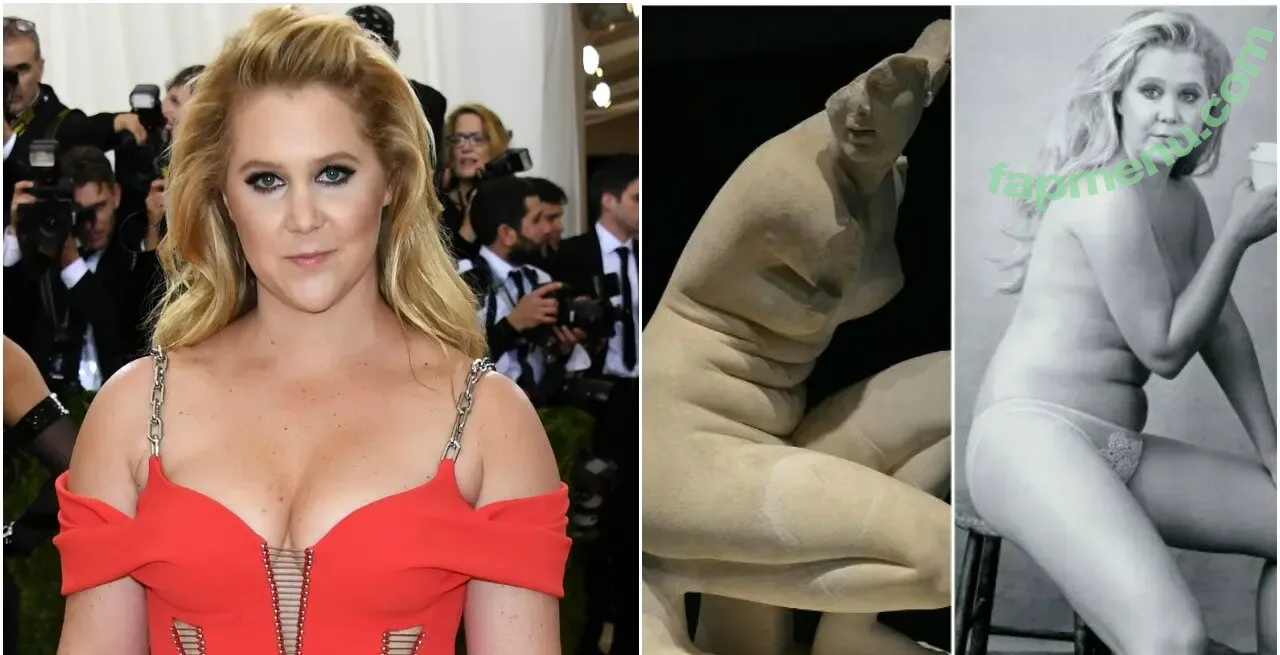 Amy Schumer nude photo #0087 (amyschumer)