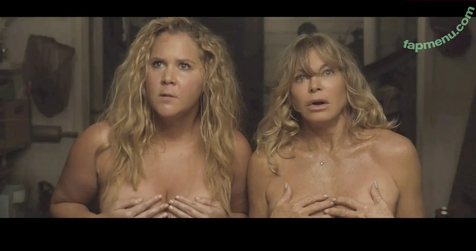 Amy Schumer nude photo #0088 (amyschumer)