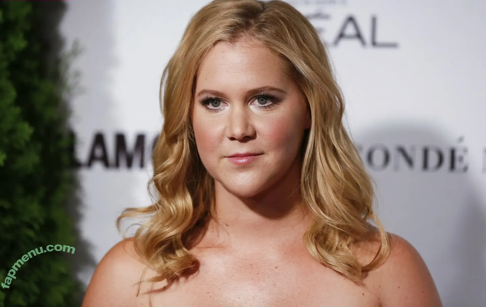 Amy Schumer nude photo #0103 (amyschumer)
