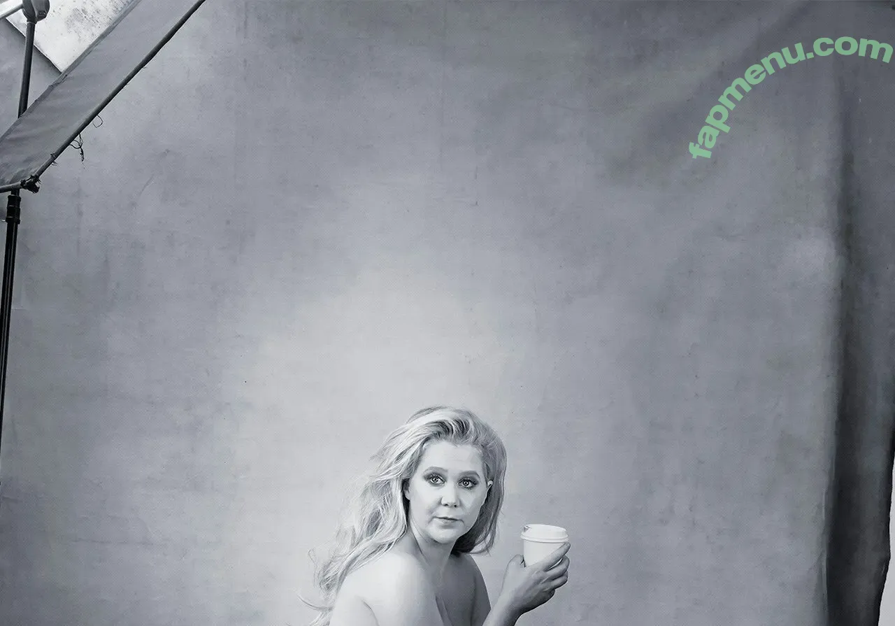 Amy Schumer nude photo #0110 (amyschumer)