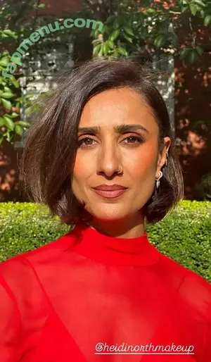 Anita Rani / itsanitarani nude photo #0162