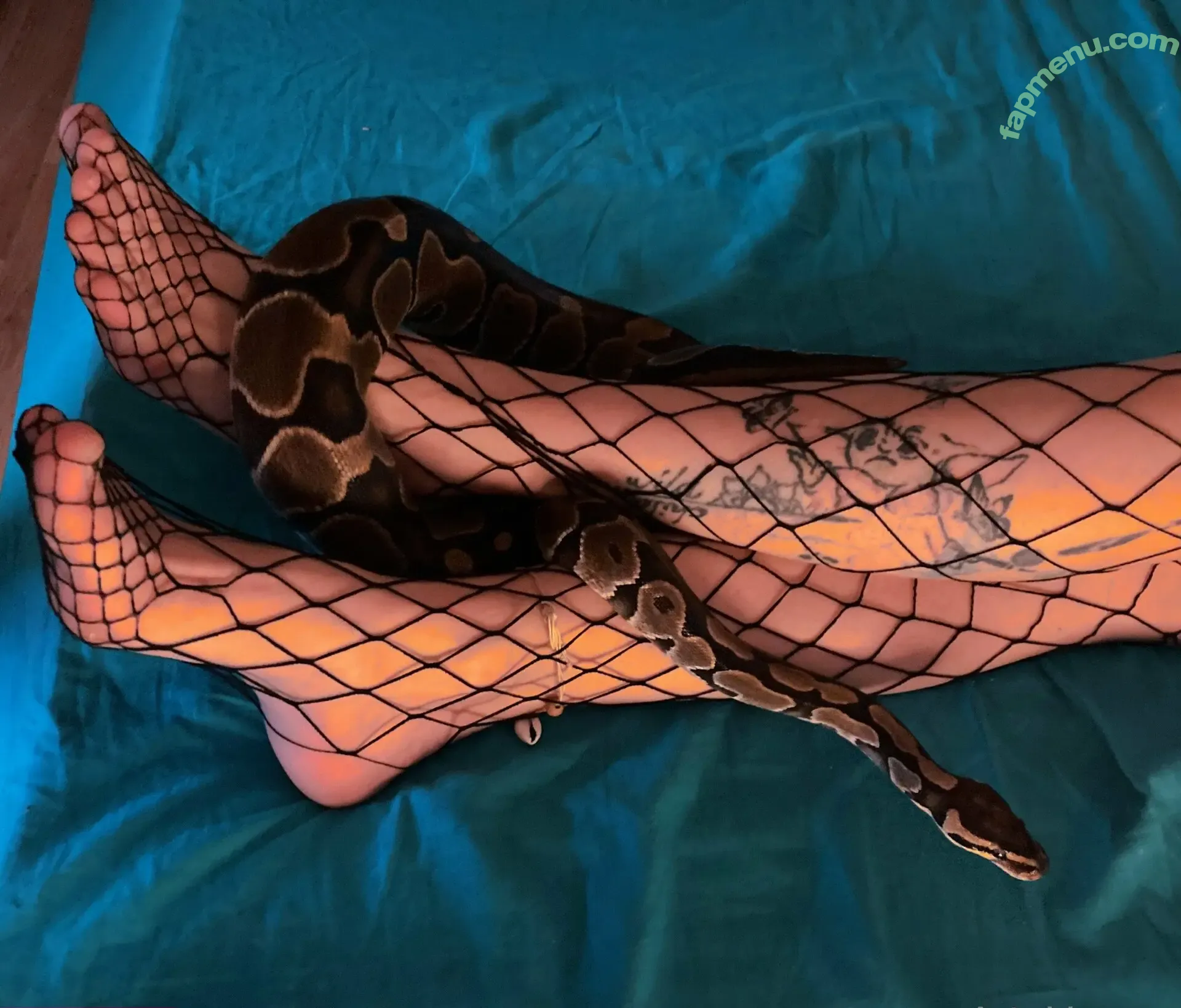artnvenom nude photo #0147 (artnvenom)