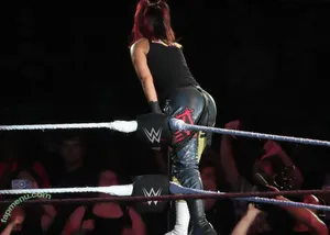 Bayley / Pamela Rose Martinez / bayley.r / itsmebayley nude photo #0475