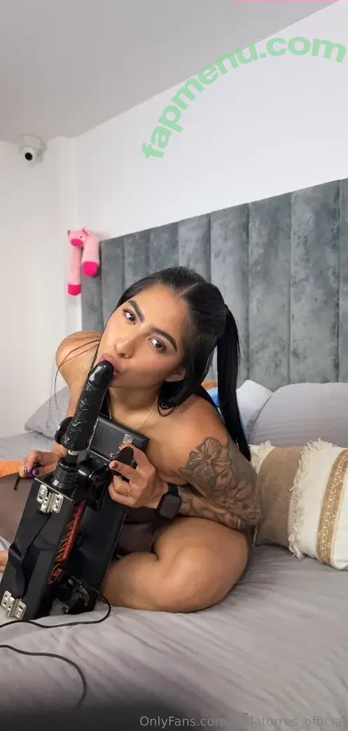 bellatorres_official nude photo #0320 (bellatorres_official)