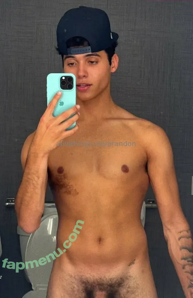 brandoncardoso nude photo #0036 (brandoncardoso)