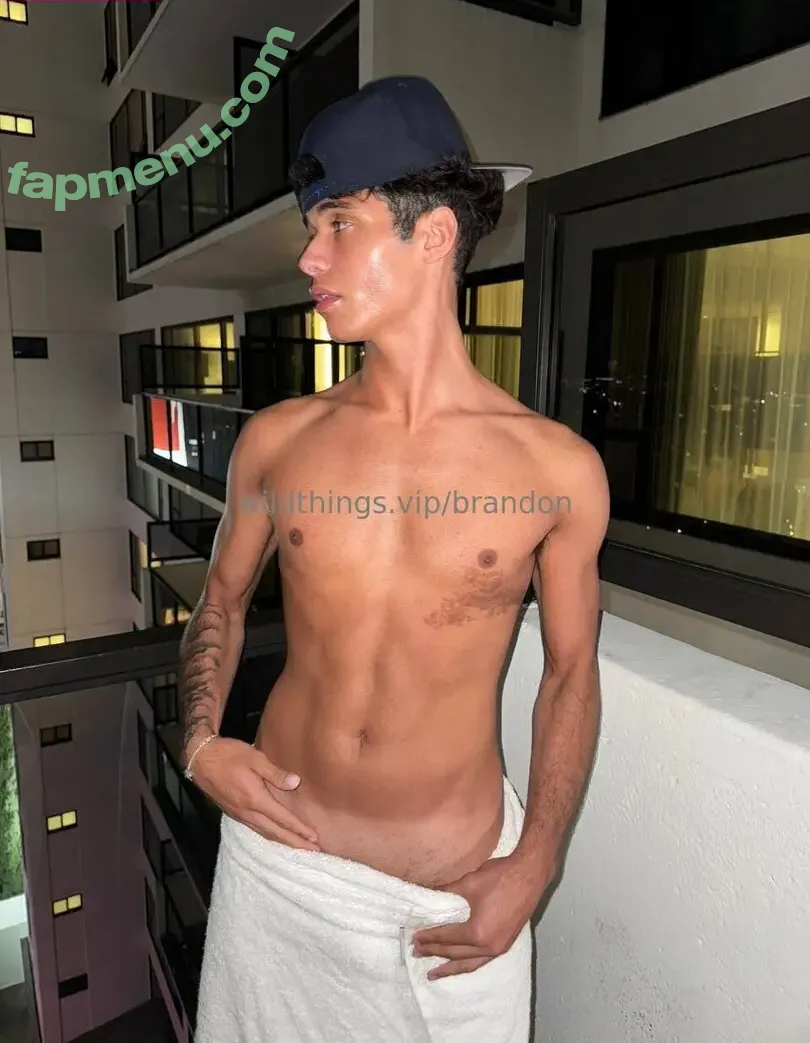 brandoncardoso nude photo #0037 (brandoncardoso)