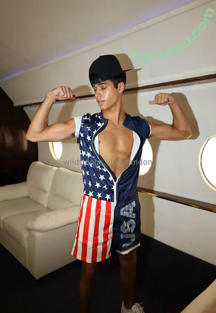 brandoncardoso nude photo #0049 (brandoncardoso)