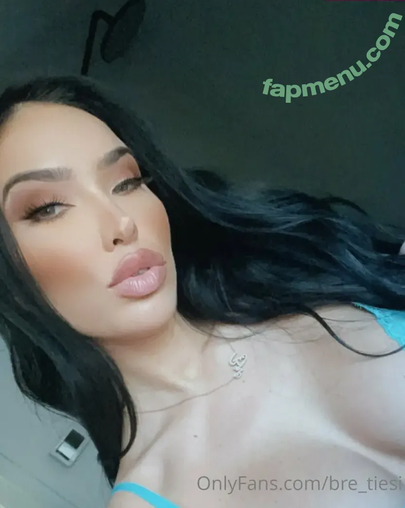 bre_tiesi nude photo #0011 (bre_tiesi)