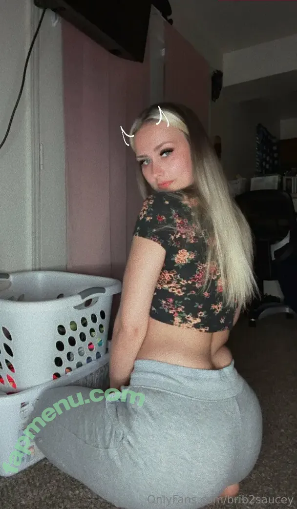 brib2saucey nude photo #0028 (brib2saucey)