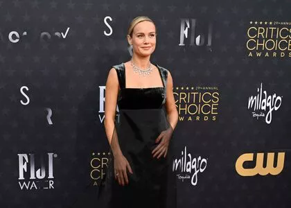 Brie Larson / brielarson nude photo #0559