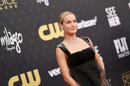 Brie Larson / brielarson nude photo #0563