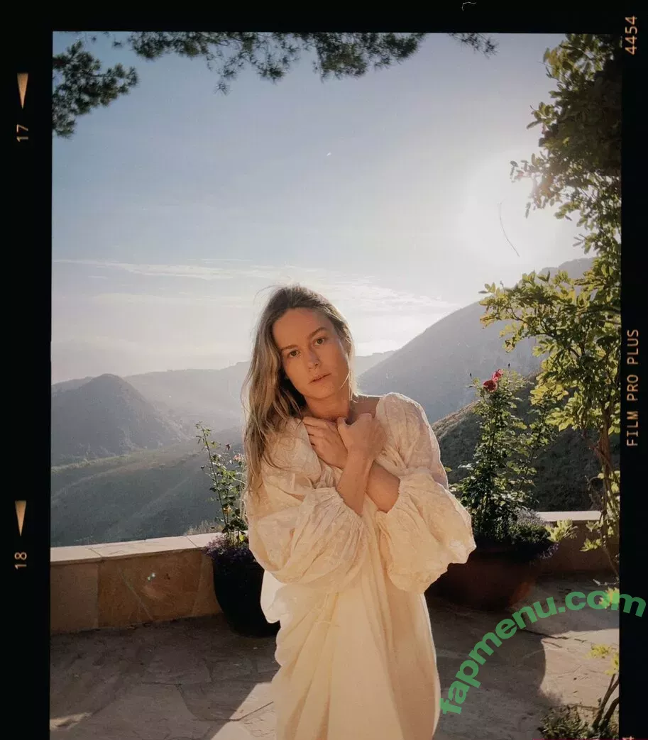 Brie Larson nude photo #0356 (brielarson)
