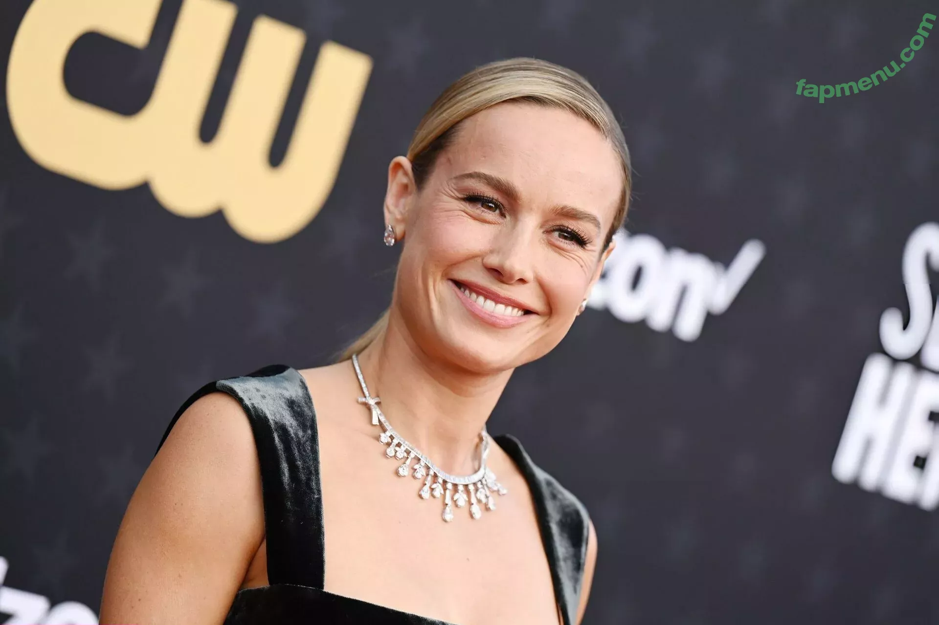 Brie Larson nude photo #0565 (brielarson)