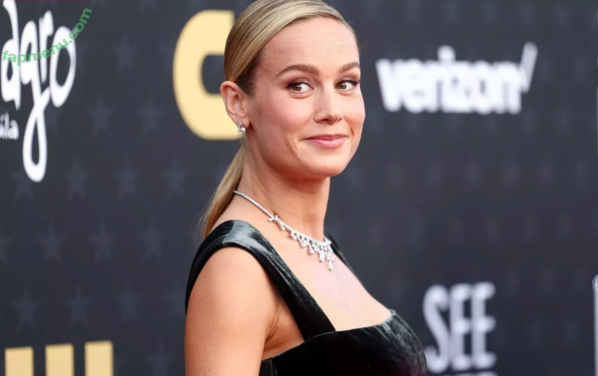 Brie Larson nude photo #0575 (brielarson)
