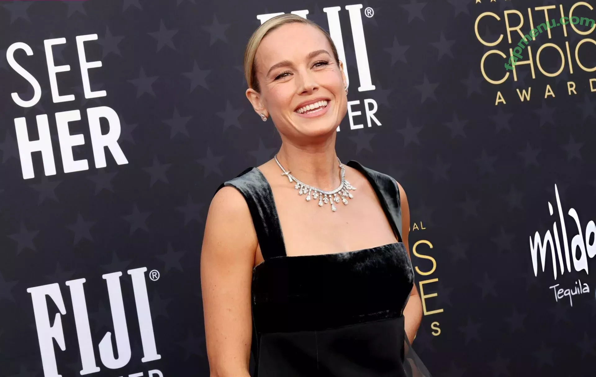 Brie Larson nude photo #0583 (brielarson)