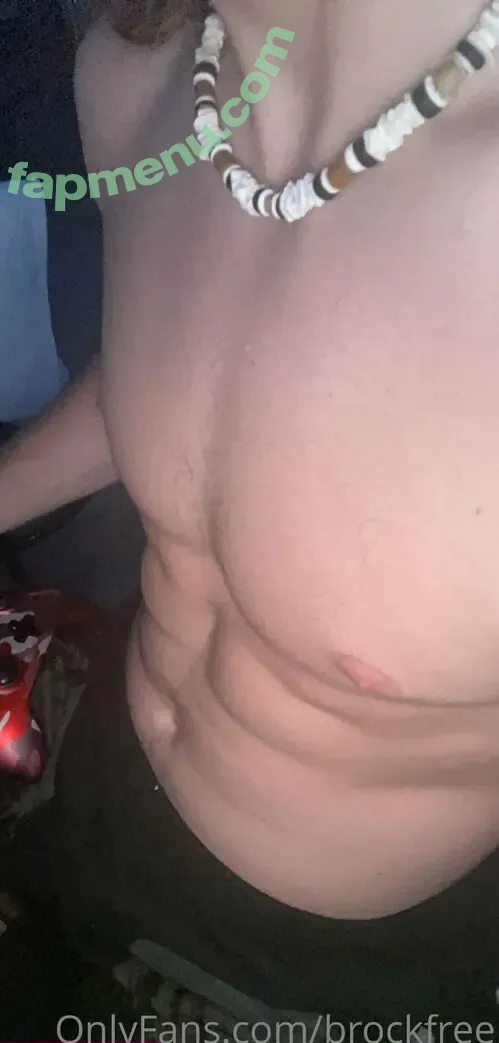 brocklimited nude photo #0015 (reel)