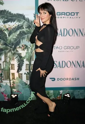 Camila Cabello / Camila_Cabello / iamgabrielaung nude photo #4717
