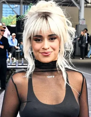 Camila Cabello / Camila_Cabello / iamgabrielaung nude photo #4758