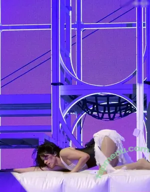 Camila Cabello / Camila_Cabello / iamgabrielaung nude photo #4788