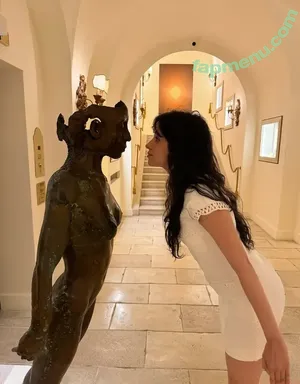 Camila Cabello / Camila_Cabello / iamgabrielaung nude photo #4829