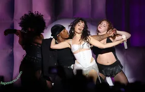 Camila Cabello / Camila_Cabello / iamgabrielaung nude photo #4890