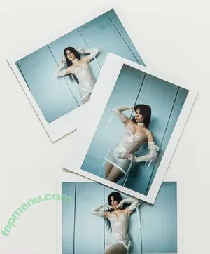 Camila Cabello / Camila_Cabello / iamgabrielaung nude photo #4893