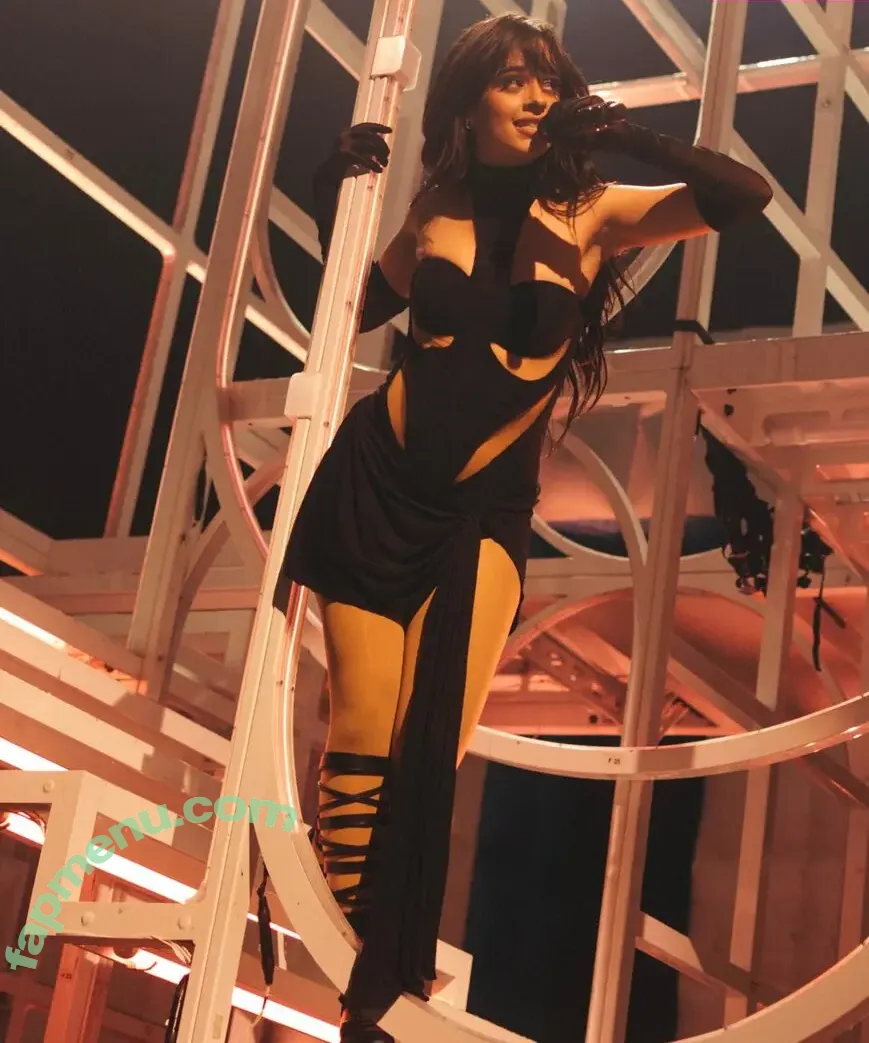 Camila Cabello nude photo #4825 (Camila_Cabello / iamgabrielaung)