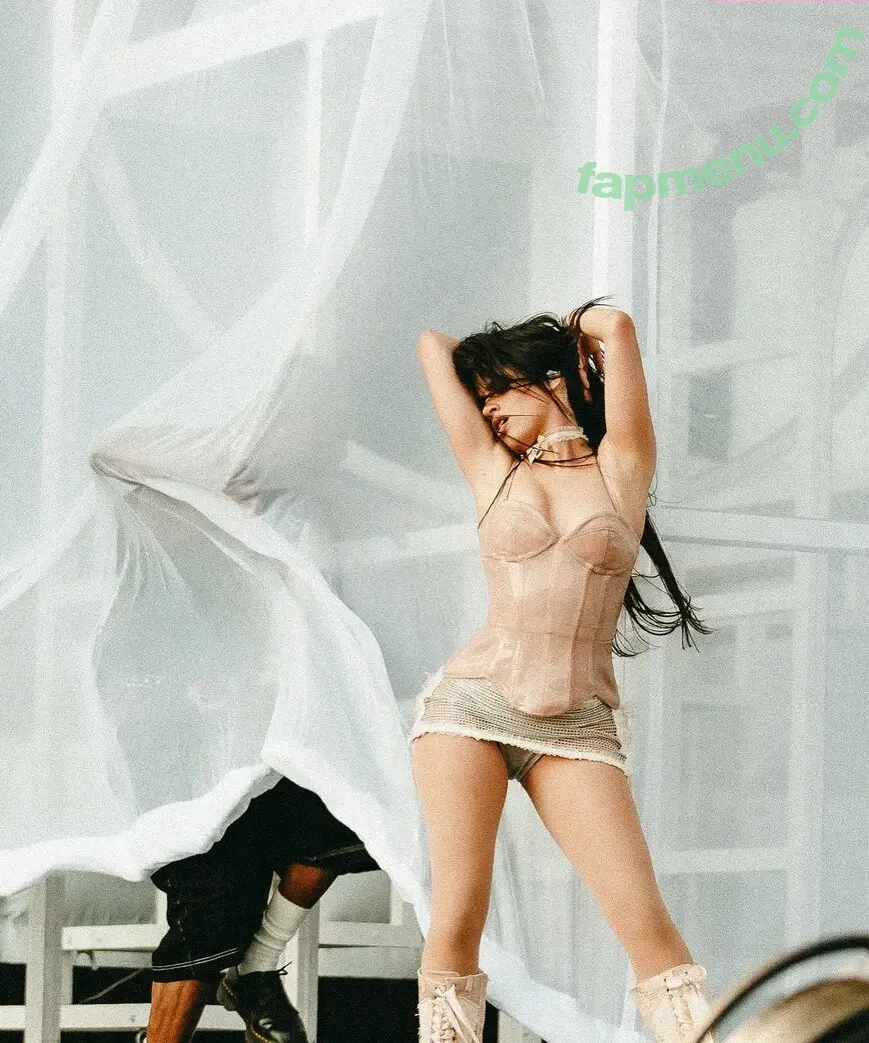 Camila Cabello nude photo #4865 (Camila_Cabello / iamgabrielaung)