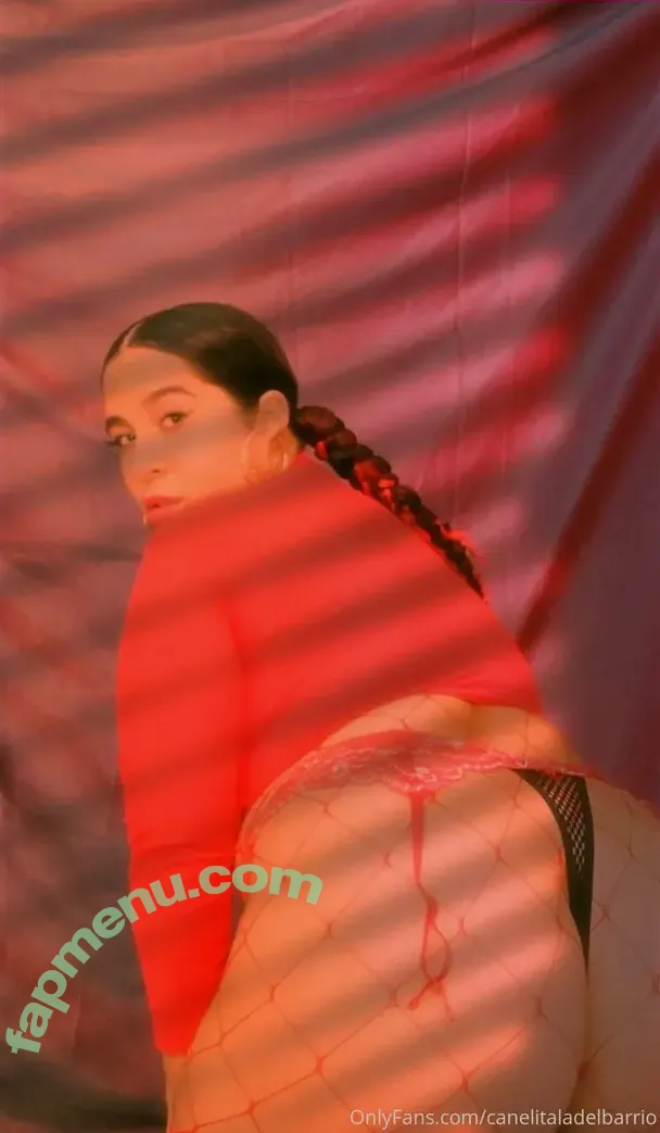 canelitaladelbarrio nude photo #0044 (canelitaladelbarrio)