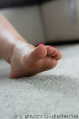 cavalierifeetfree / funwifelife nude photo #0073