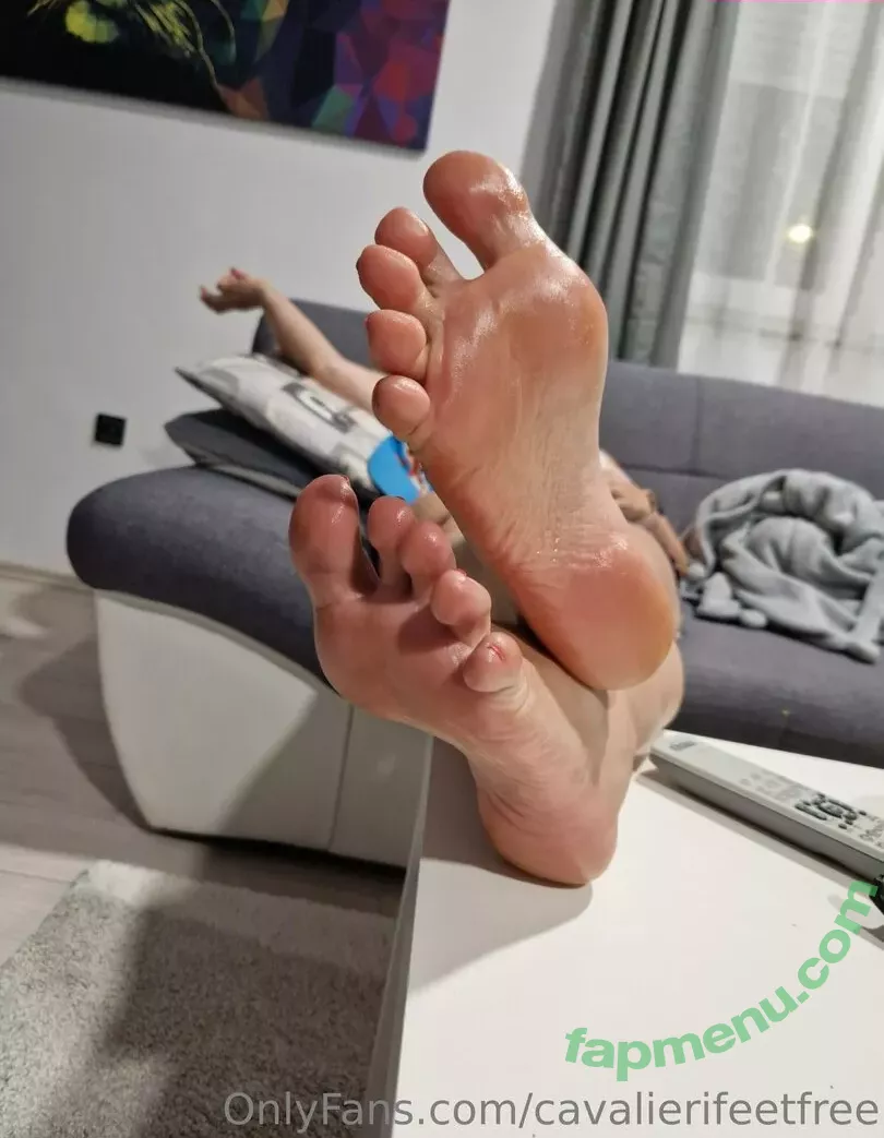 cavalierifeetfree nude photo #0103 (funwifelife)